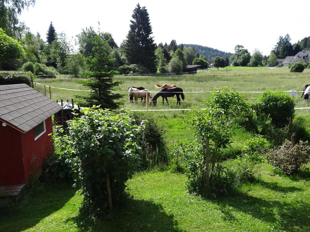 Ferienwohnung Mattenweg 1A Hinterzarten Dış mekan fotoğraf