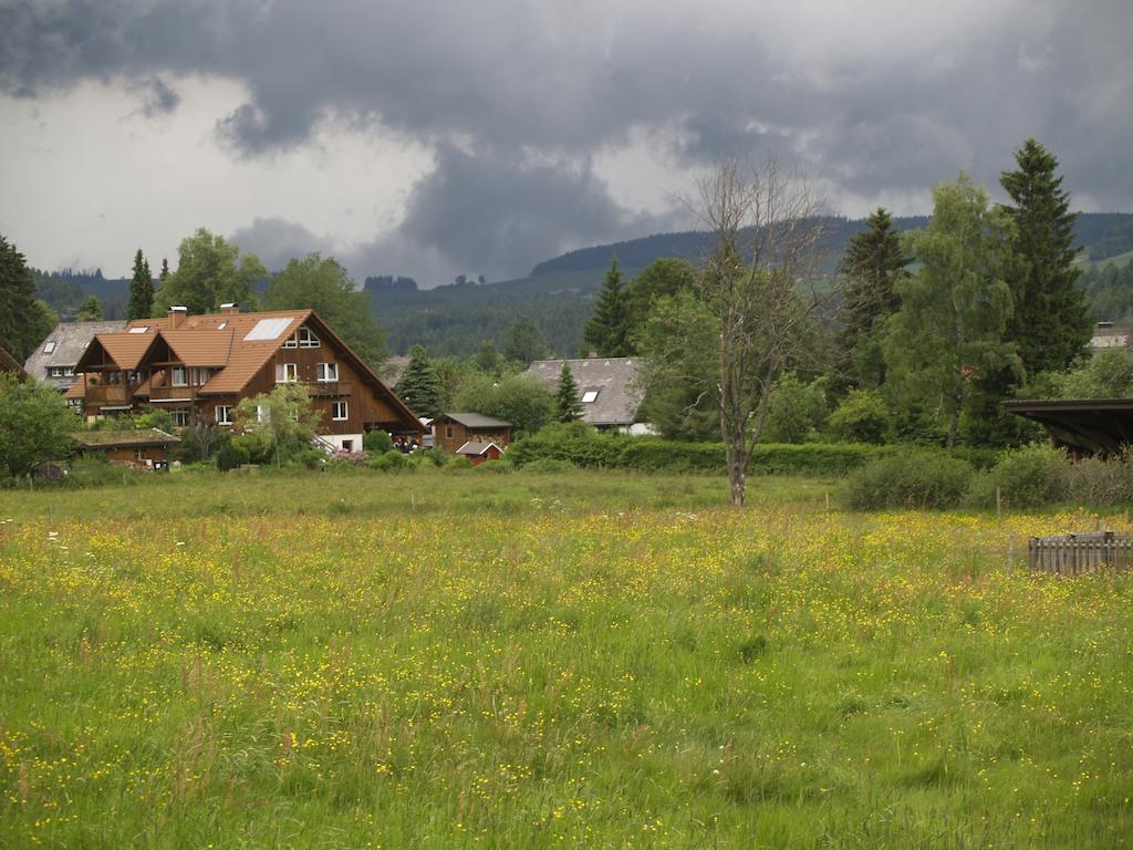 Ferienwohnung Mattenweg 1A Hinterzarten Oda fotoğraf